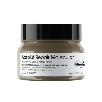L'Oreal Serie Expert Absolut Repair Molecular Mask 250ml